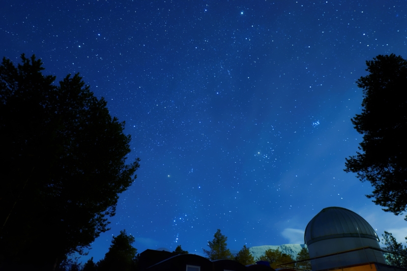 Night Sky Skibotn