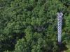 MOFLUX site with 32-m tower overlooking forest in Missouri