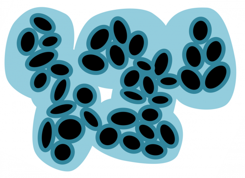 Cometary grains with halogen-rich (dark blue) and pure water ice (light blue) mantles.