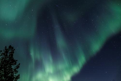 The Aurora seen by PLIP