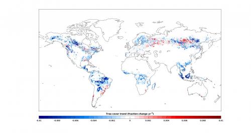 Spatial distribution of the linear net trend