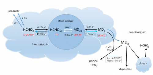 Schema in-cloud processen met betrekking tot gasfase formaldehyde en methanediol.