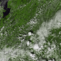 Simulation of a MODIS-like satellite image