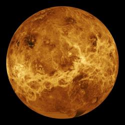 Surface Venus