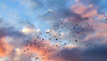 Les couleurs complexes du ciel